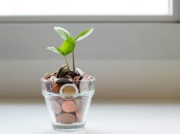 Financial Planning